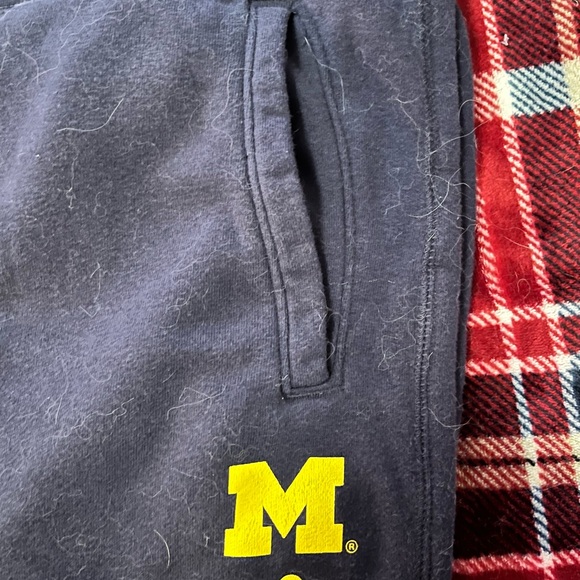 Champion Michigan Wolverines jogger sweat pants - Picture 3 of 6